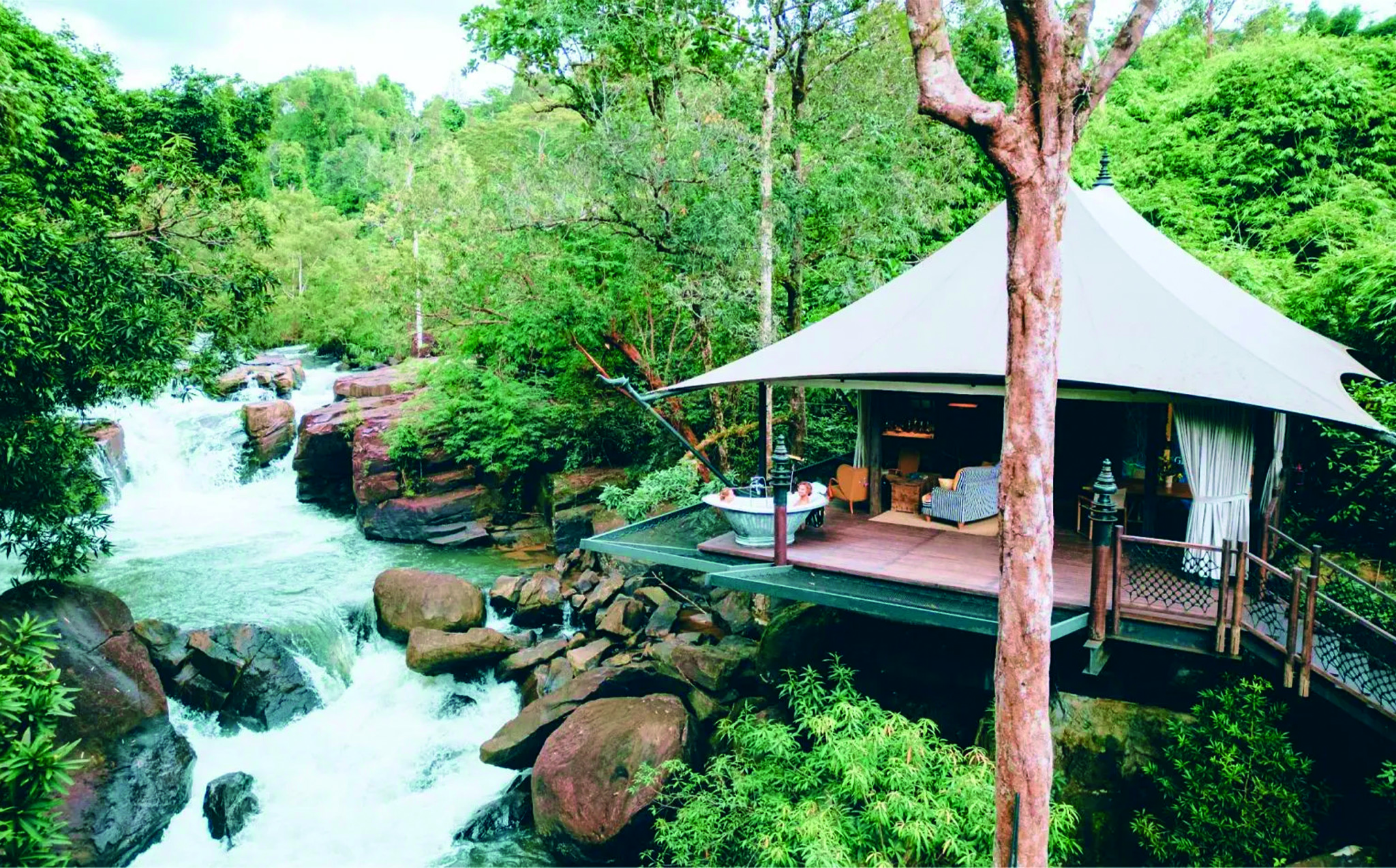 cardamomnationalpark