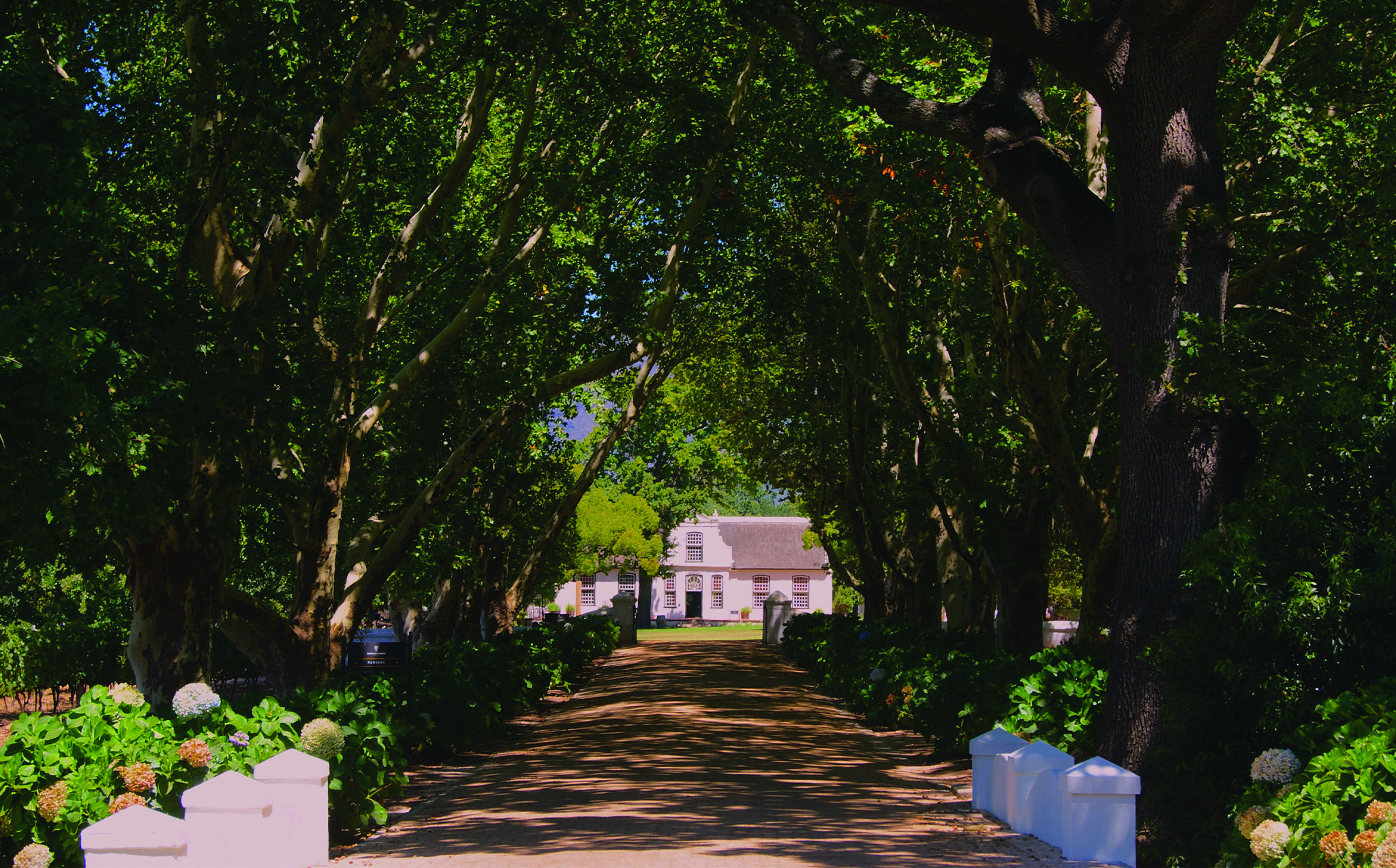 winelands